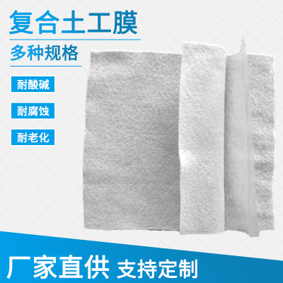 厂家生产一布一膜防水土工布 两布一膜复合膜 长丝复合土工膜