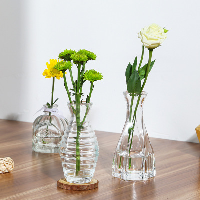 餐桌小清新装饰玻璃瓶透明摆件客厅干花插花北欧ins风水培花瓶