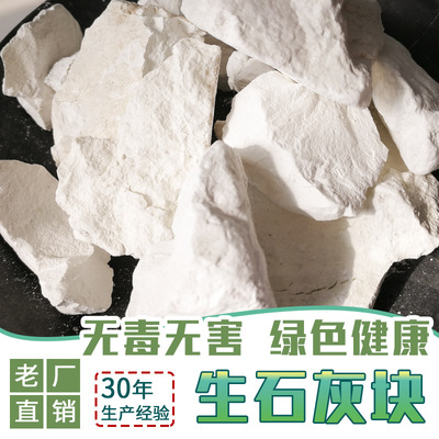 广东厂家直供工业级土壤回填氧化钙含量80生石灰块状 现货