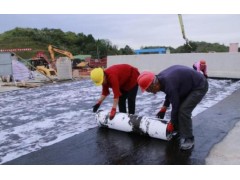 道桥防水涂料国标