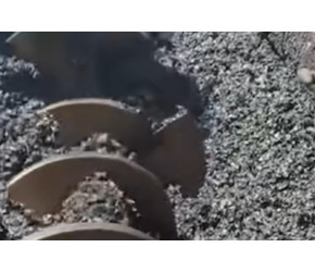 用竹子代替钢筋？混凝土里加入竹片，真的能住人吗？